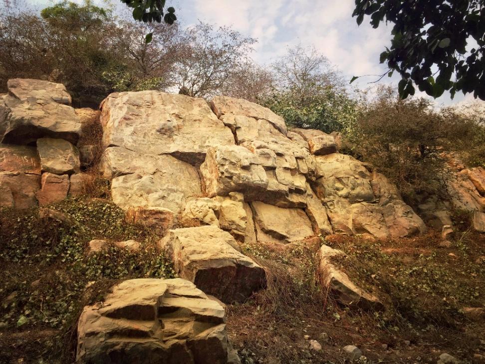 Family Yatra in Govardhan