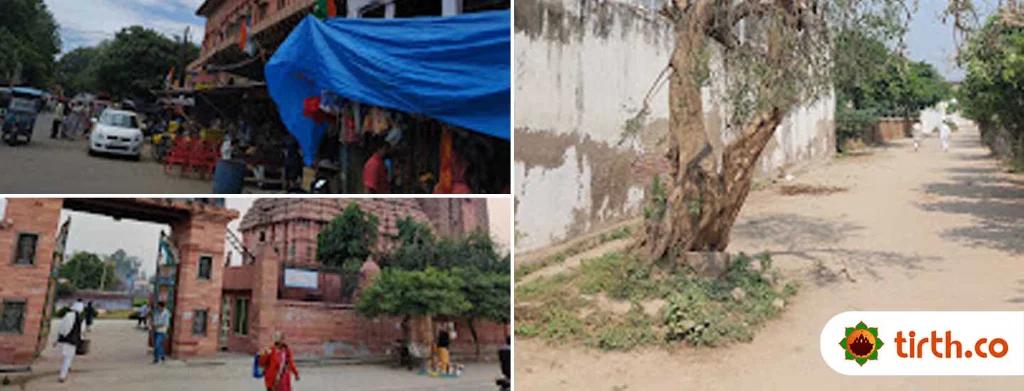 govardhan-parikrama-c